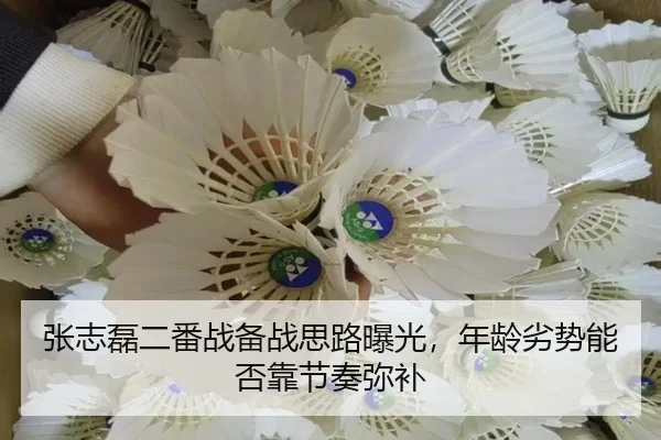 张志磊二番战备战思路曝光，年龄劣势能否靠节奏弥补